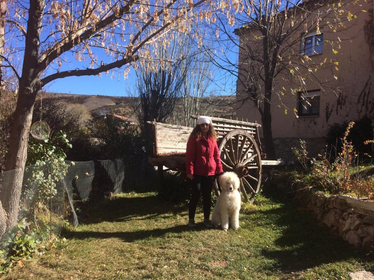 Casas Rurales Chon Alto Tajo Peralejos de las Truchas Luaran gambar
