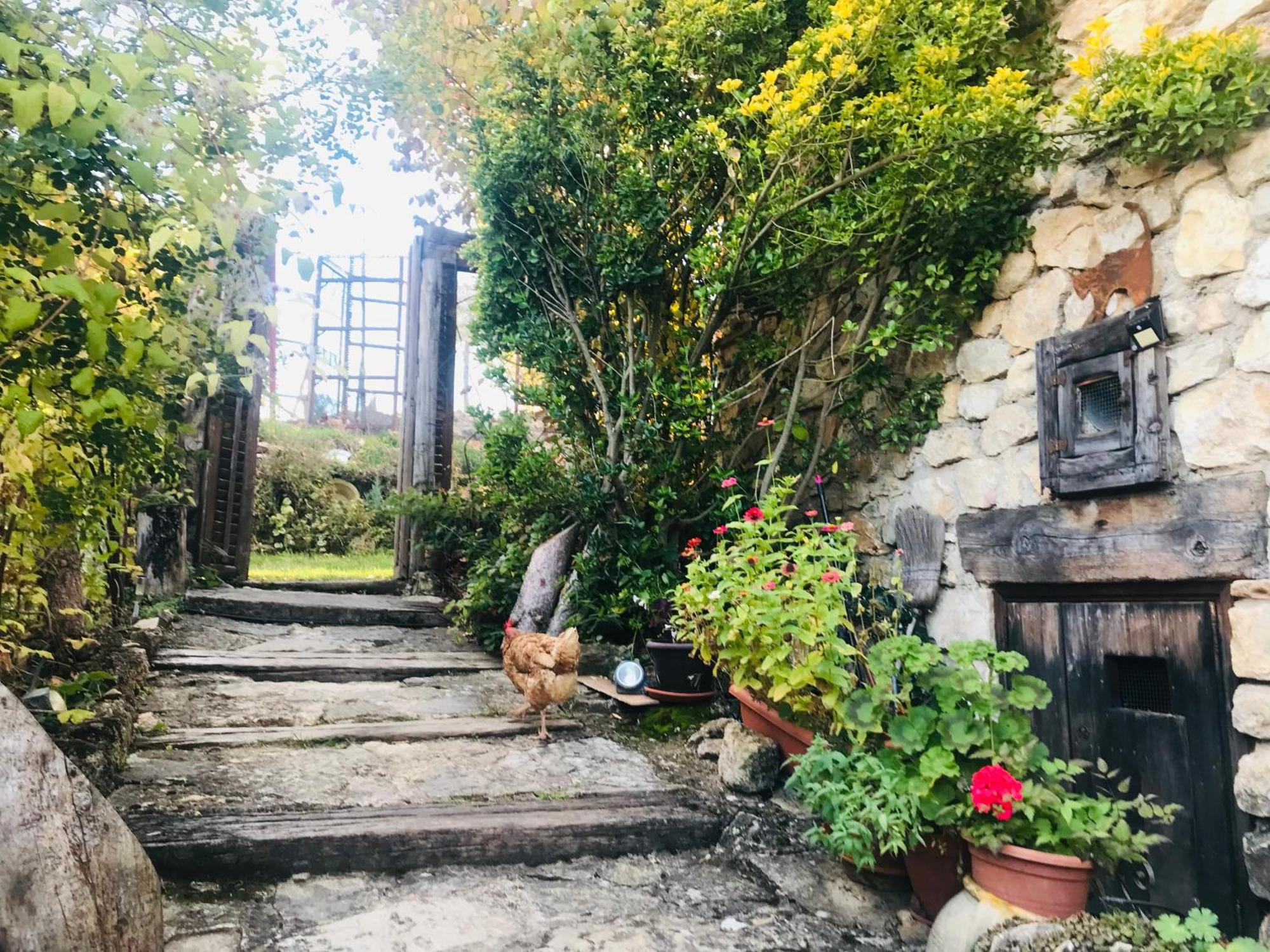 Casas Rurales Chon Alto Tajo Peralejos de las Truchas Luaran gambar