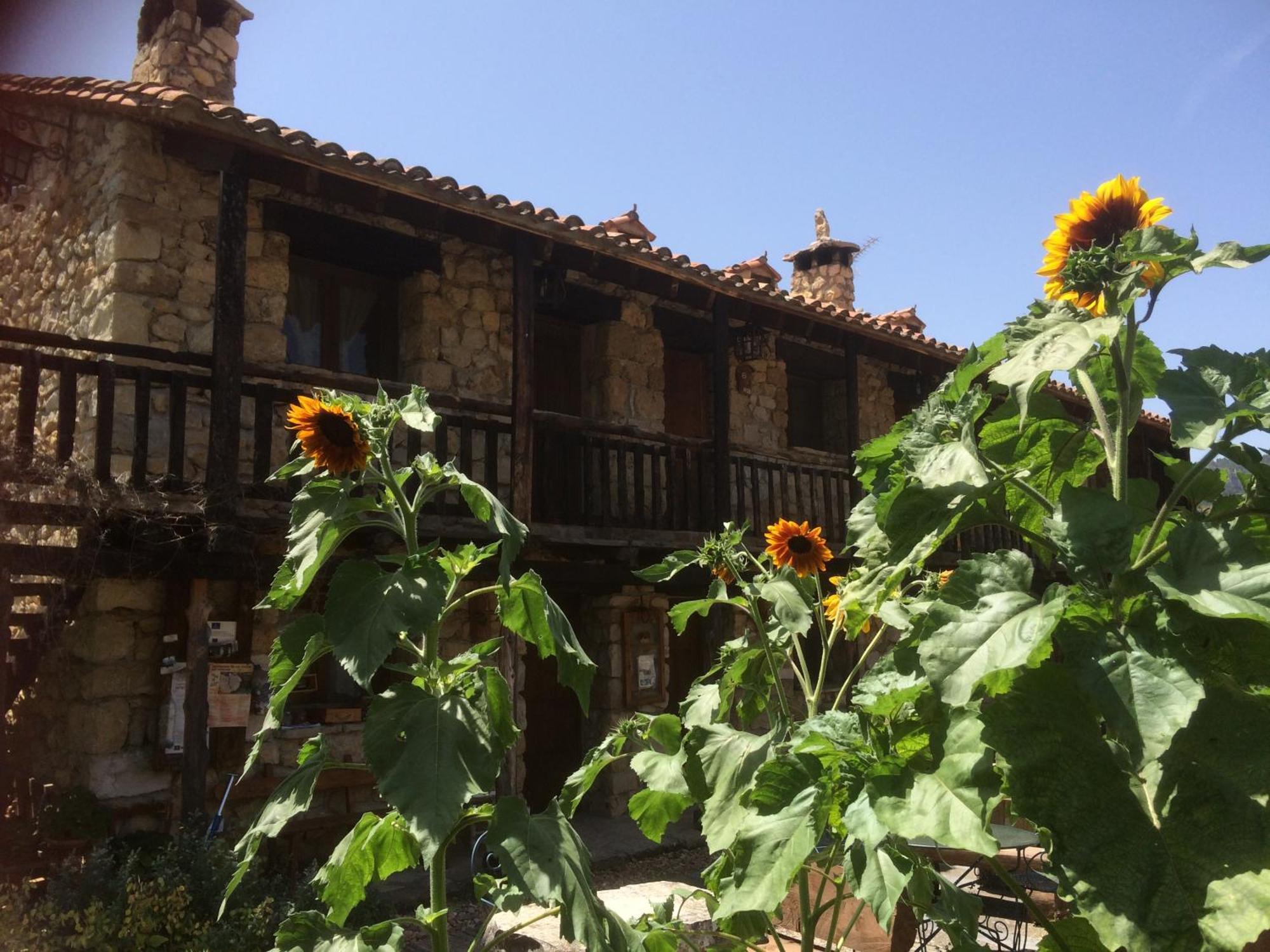 Casas Rurales Chon Alto Tajo Peralejos de las Truchas Luaran gambar